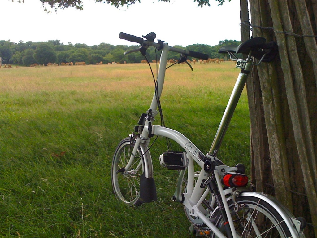 The Brompton at Richmond Park